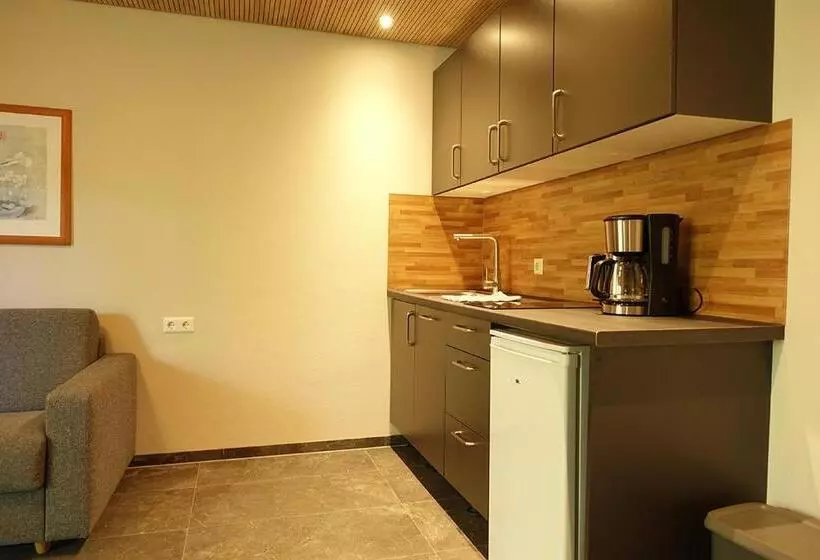 バルコニー付き１ベッドルームアパートメント, Gästehaus Hornstein