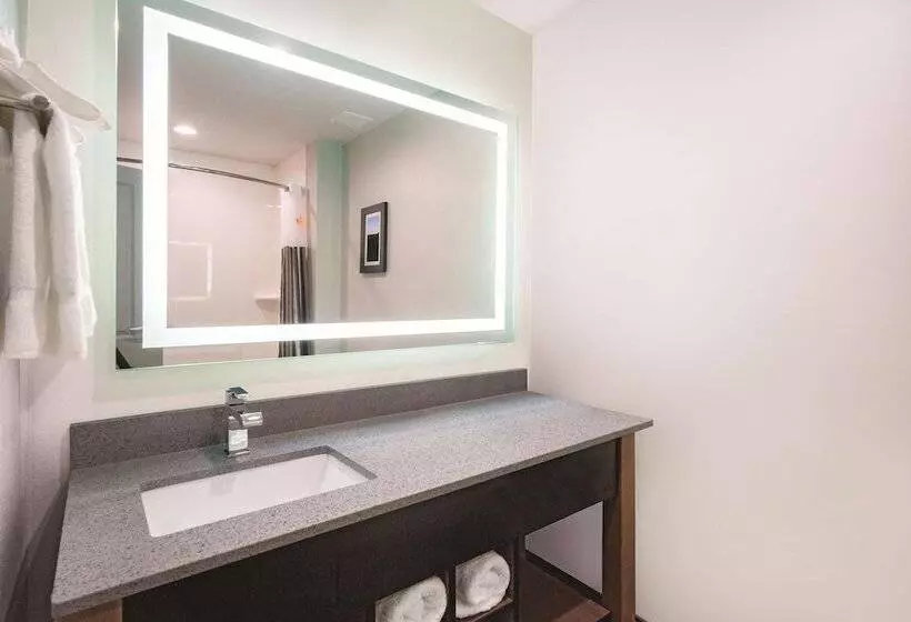 ２ダブルベッドのスタンダードルーム, La Quinta By Wyndham Cleveland Tn