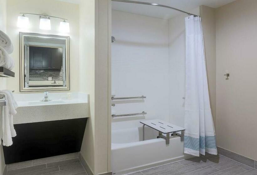 סטודיו סטנדרט, מיטה זוגית, Towneplace Suites By Marriott Mcallen Edinburg