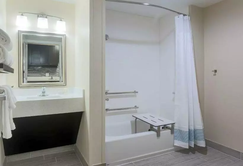 キングサイドベッドのスタンダードワンルーム, Towneplace Suites By Marriott Mcallen Edinburg