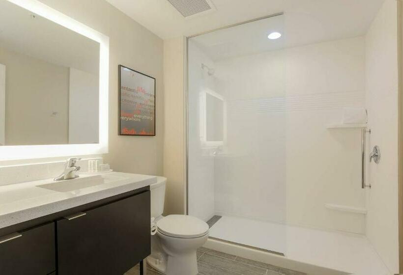 סטודיו סטנדרט, מיטה זוגית, Towneplace Suites By Marriott Mcallen Edinburg