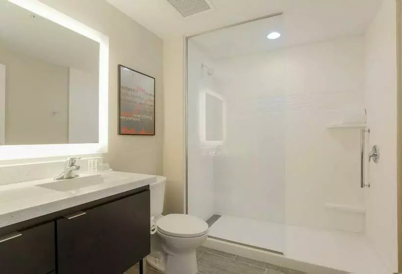 キングサイドベッドのスタンダードワンルーム, Towneplace Suites By Marriott Mcallen Edinburg