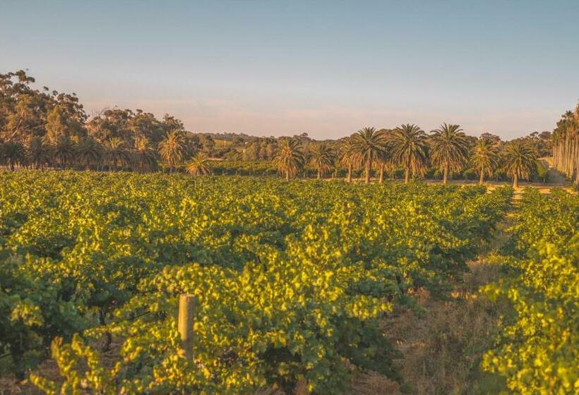 غرفة عائلية سرير بطابقين, Seppelts View Cabins