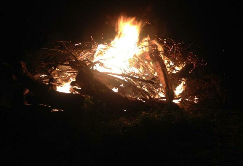 كابينة, Seppelts View Cabins