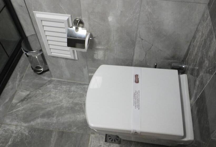 غرفة قياسية فردية, Ankuva