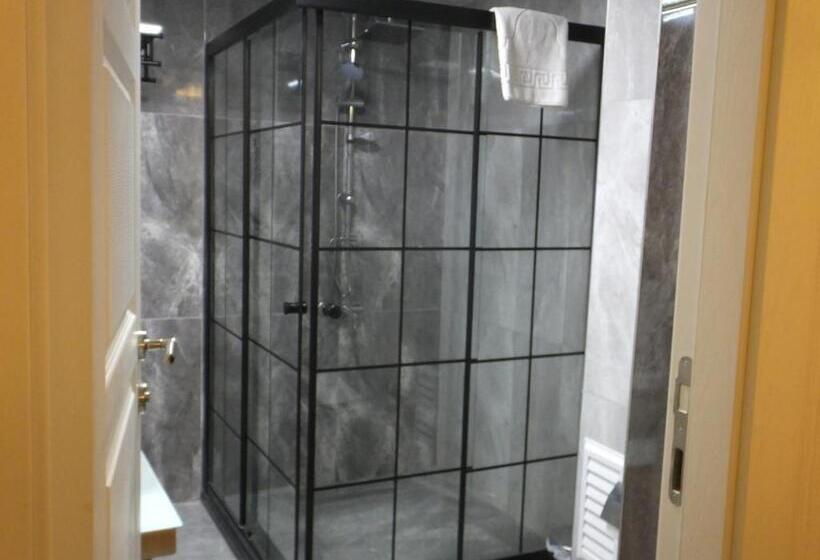 غرفة قياسية فردية, Ankuva