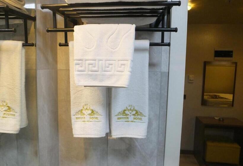 غرفة قياسية, Ankuva