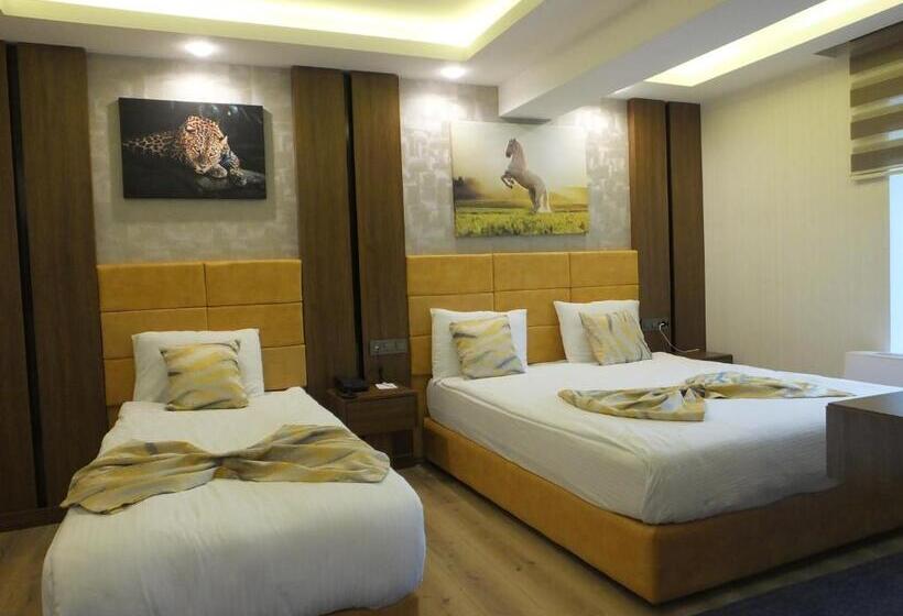 غرفة قياسية, Ankuva