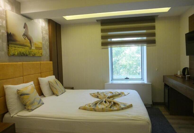 غرفة قياسية, Ankuva