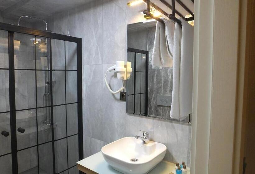 غرفة قياسية, Ankuva