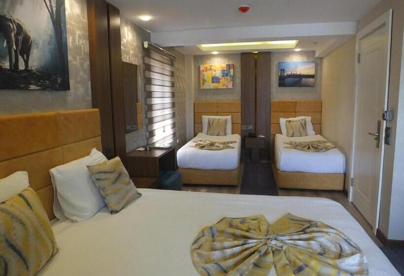 غرفة قياسية ثلاثية, Ankuva