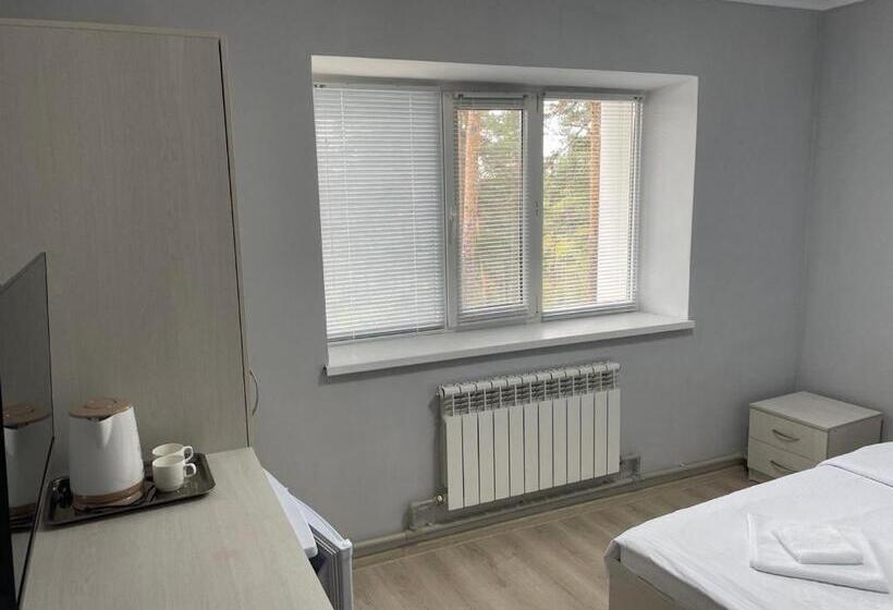 اتاق استاندارد, Palladium