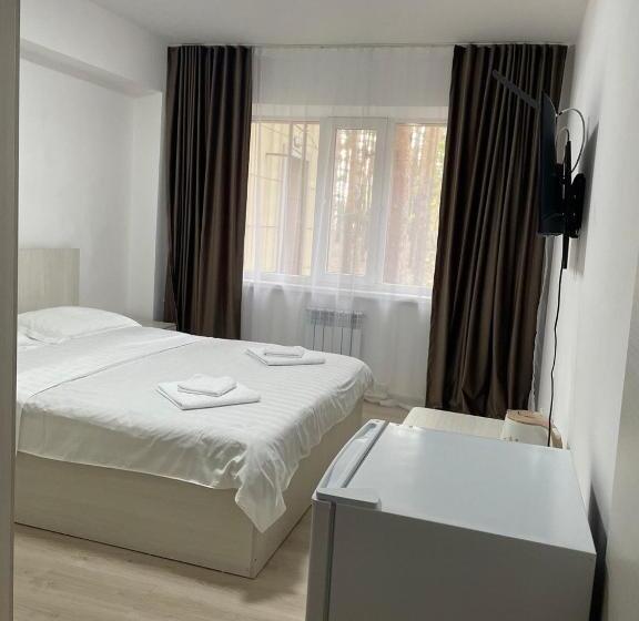 اتاق استاندارد, Palladium