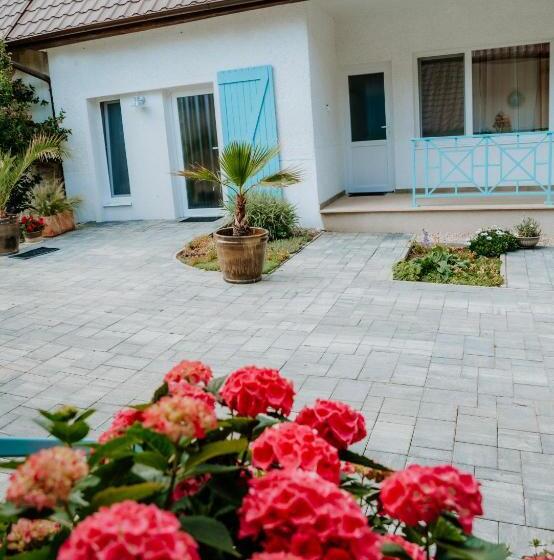 Номер Стандарт, Ako Doma