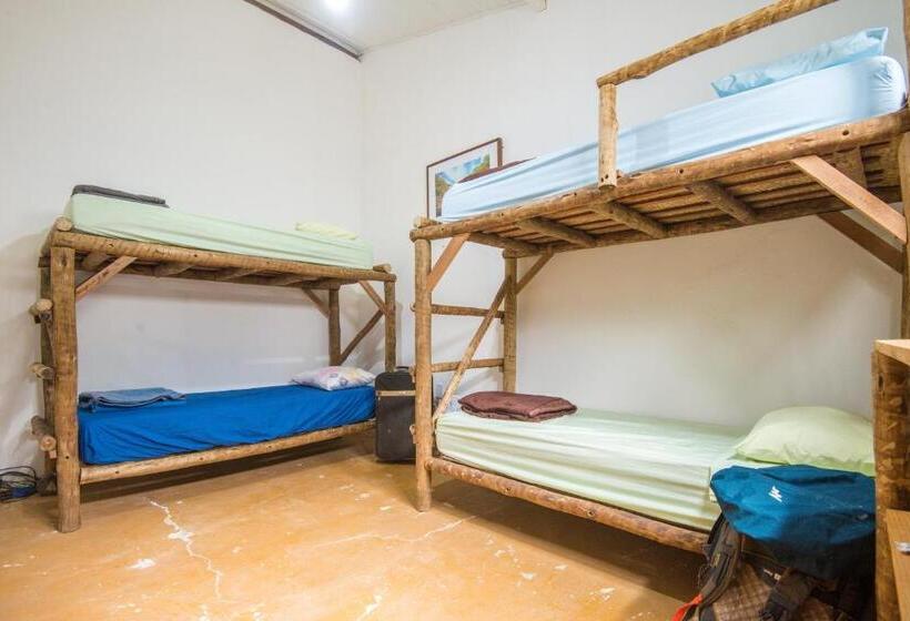 Четырехместный Номер Классик, Hospeda Vila