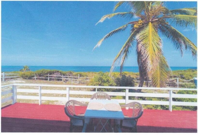 اتاق استاندارد, John’s Place