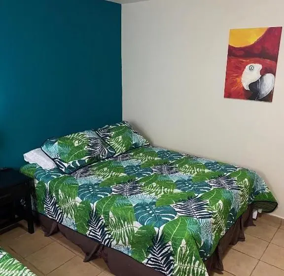 デラックスルーム, Uverito Sand Dollar B&b