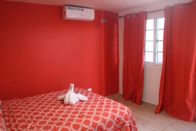 豪华房间, Uverito Sand Dollar B&b