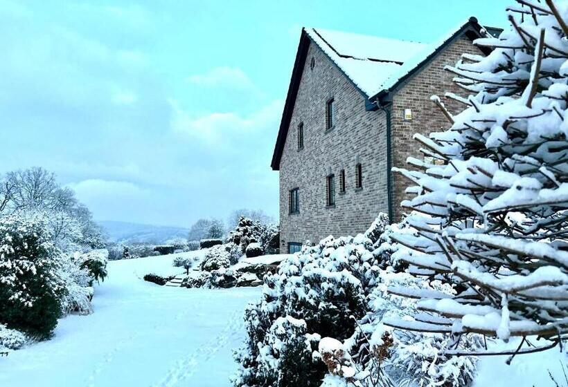 Номер Стандарт Вид на Горы, Le Renard Or