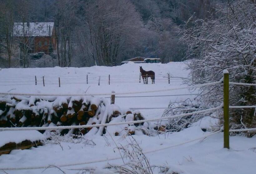 Номер Стандарт Вид на Горы, Le Renard Or