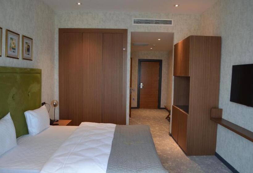اتاق استاندارد با تخت بزرگ, Arena Grand