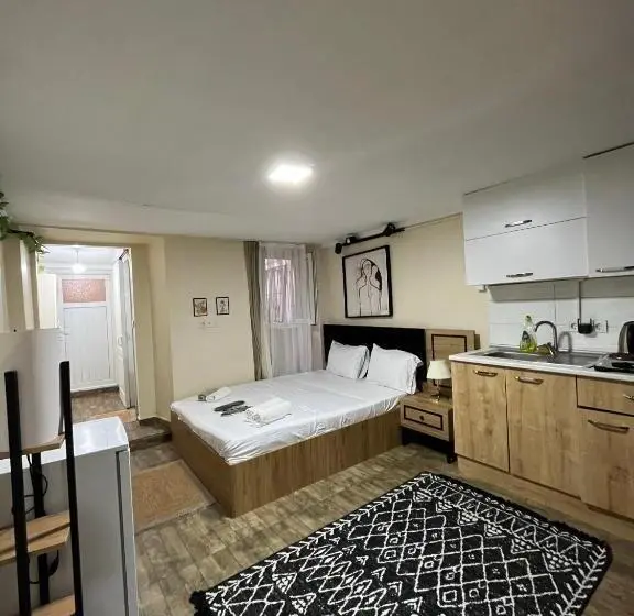اتاق استاندارد سه تخته با چشم‌انداز باغ, Taksim Nikea Suites 80