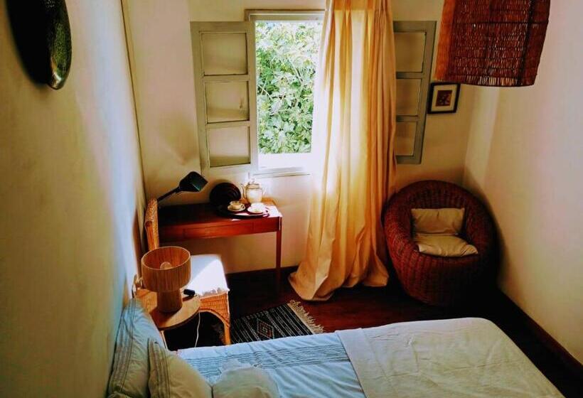 Camera Quadrupla Standard, Dar Sbaa