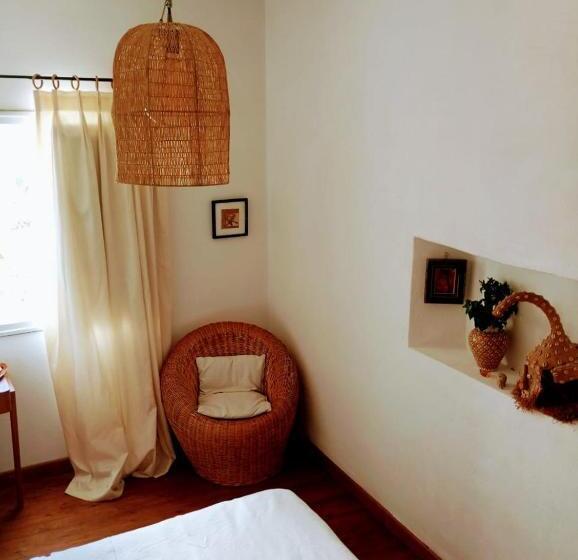 Camera Quadrupla Standard, Dar Sbaa