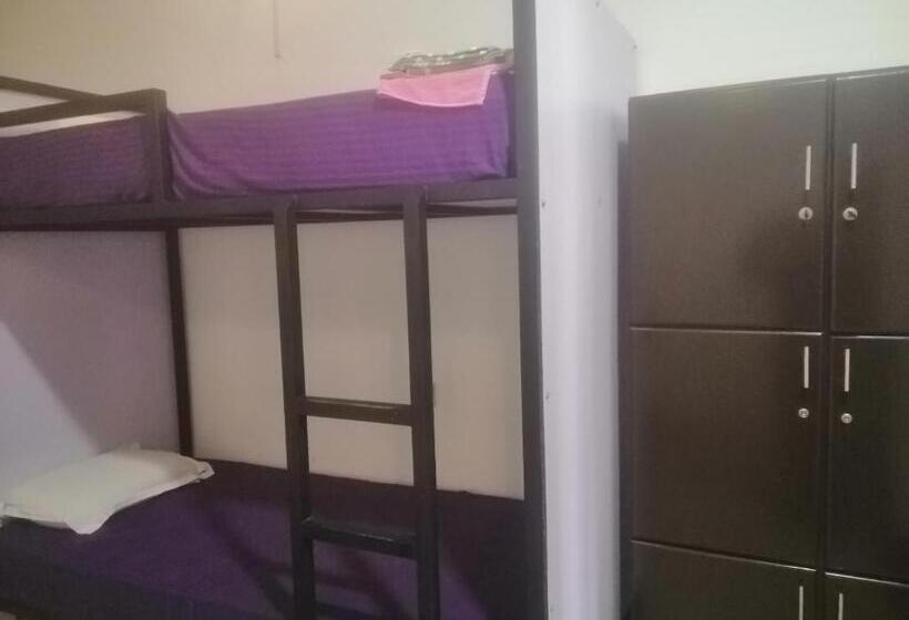 تختخواب در اتاق مشترک, Craft Gallery Hostel