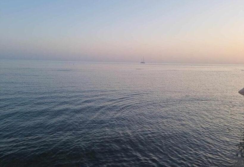 اتاق استاندارد, Pink Lady Rooms