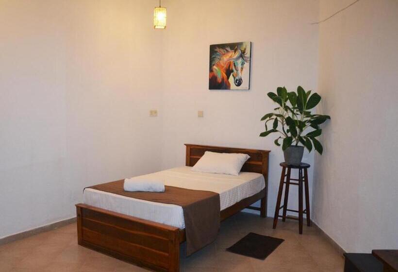 חדר יחיד נוף לגינה, The Dom Hotel & Restaurant