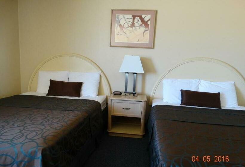 חדר סטנדרט, Budget Motel