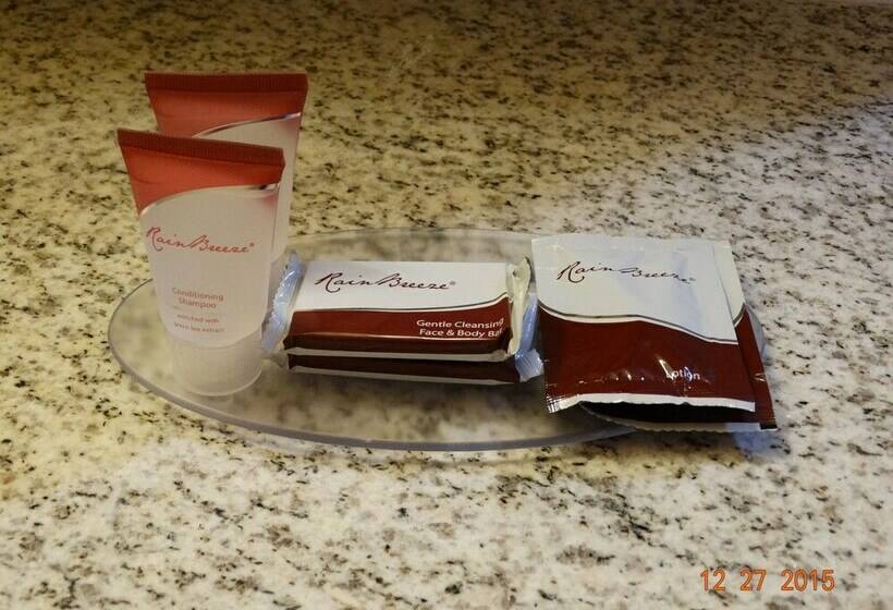 חדר סטנדרט, Budget Motel