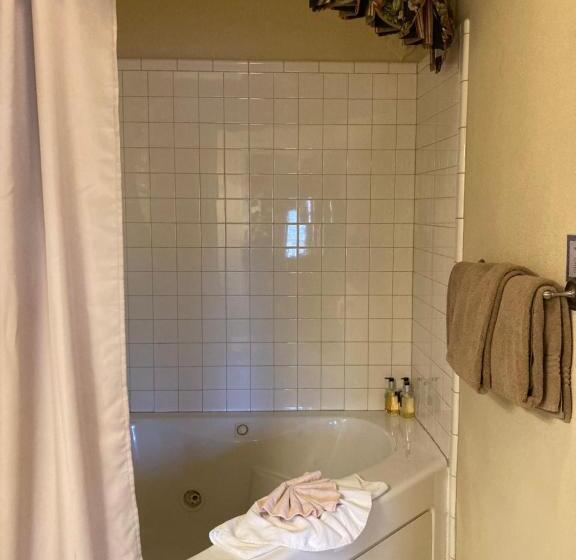 اتاق استاندارد, All Seasons Inn