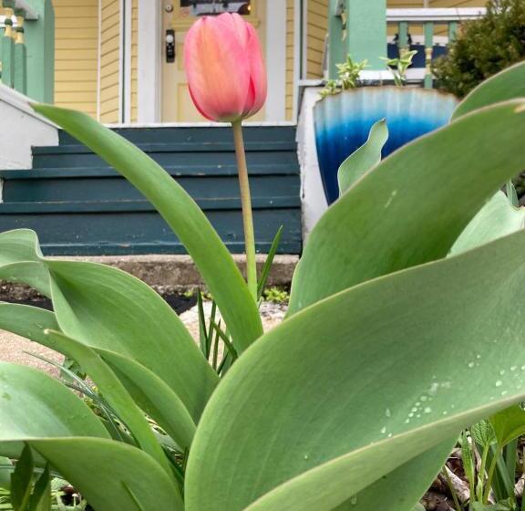 کابین, All Seasons Inn