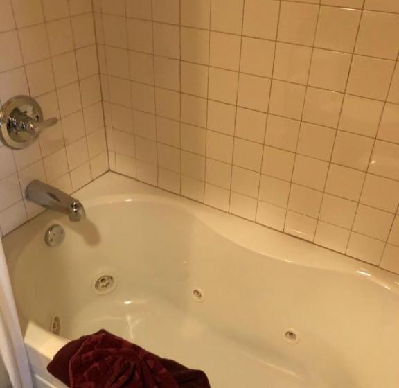 سوییت جونیور با بالکن, All Seasons Inn