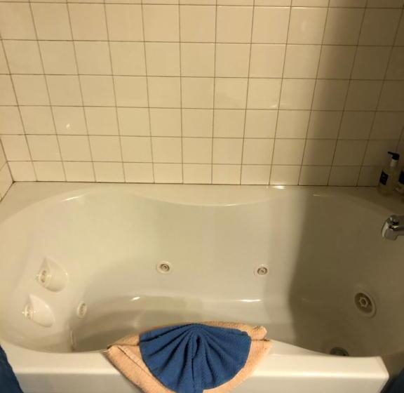 اتاق استاندارد, All Seasons Inn