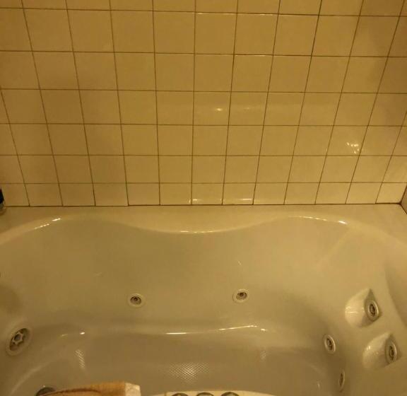 スタンダードルーム, All Seasons Inn