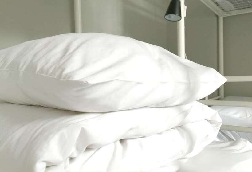 ルームシェアのワンベッド, Cloud Hostel