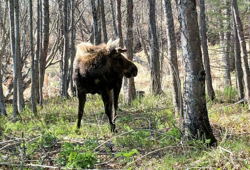 Номер Стандарт Вид на Сад, Juneberry Lodge