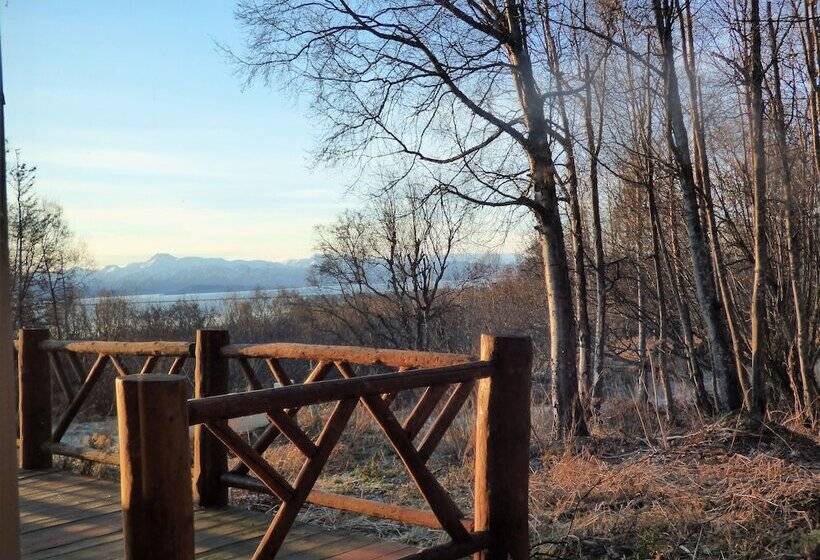 标准间, Juneberry Lodge