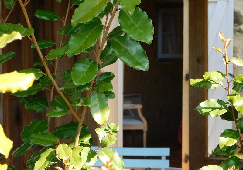 豪华房间, Select Inn Shimada Ekimae