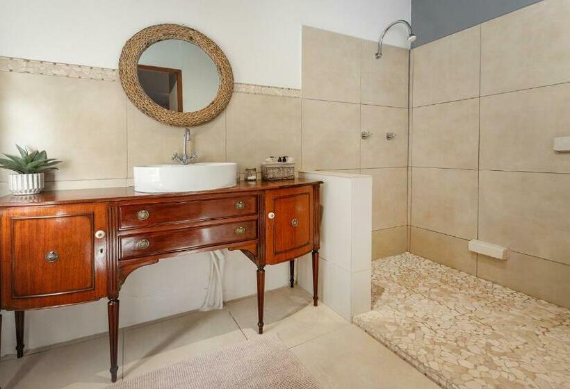 스탠다드 룸 가든 전망, Walker Bay Manor Mansion