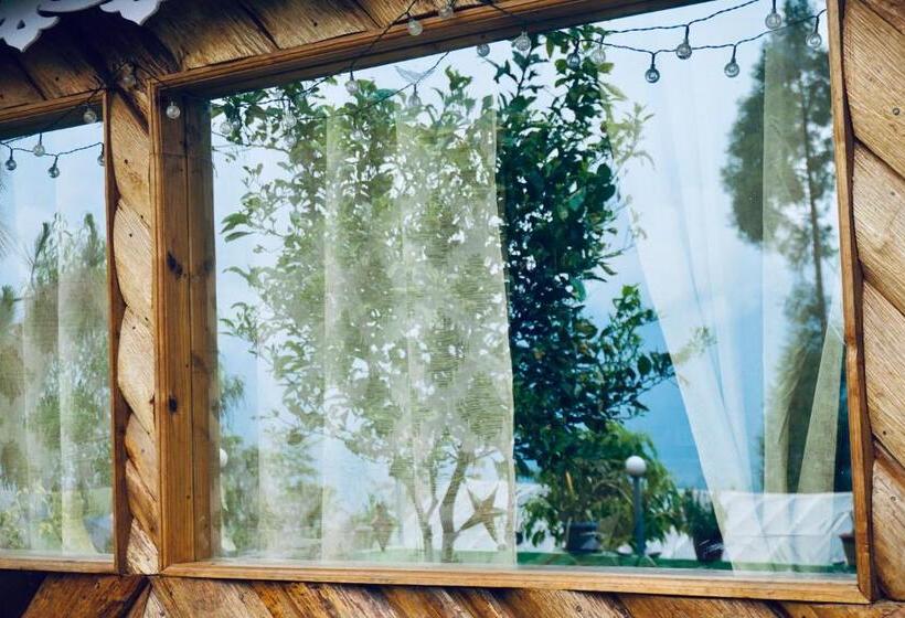 חדר אקונומי, Wake In Himalayas