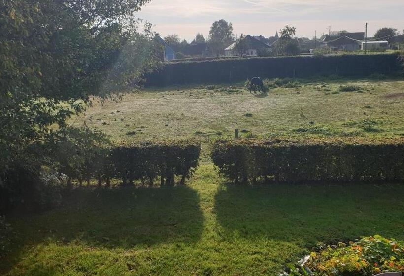 Семейный Номер, La Calvélène