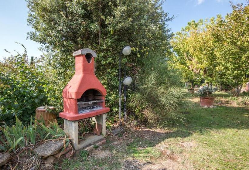 شقة سوبريور غرفة واحدة, La Farneta