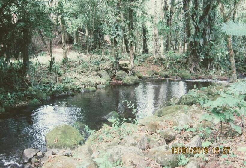 غرفة قياسية فردية, Room In House   Habitacion Y Bano Independientes