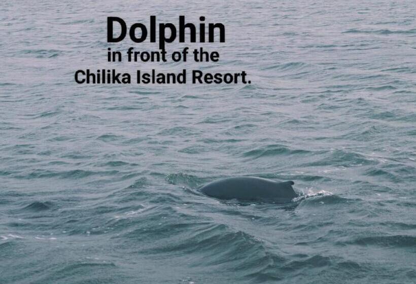 Deluxe Rum, The Chilika Island Resort