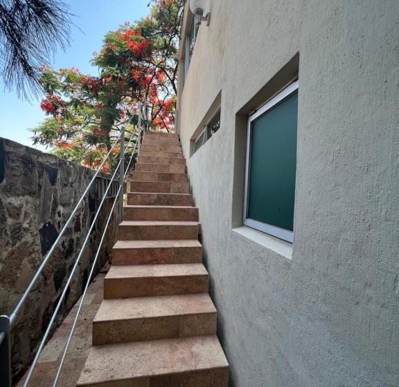 סוויטה עם טרסה, Willsonsatlascanadas