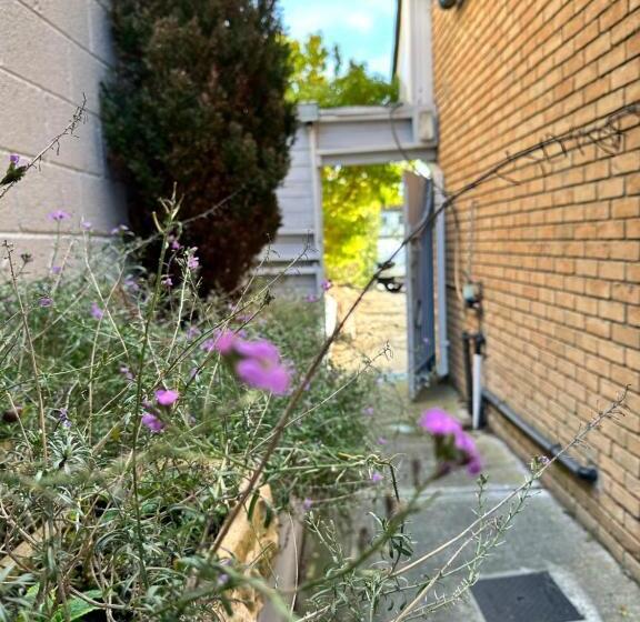 기본룸, Malahide Guest Rooms